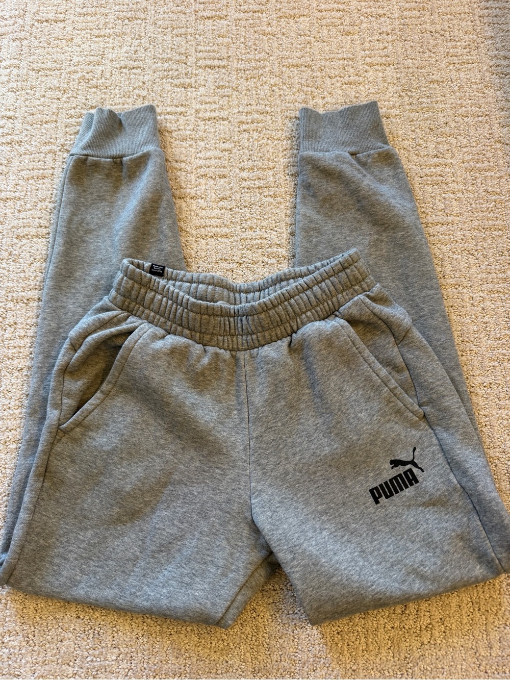 Puma Men's Gray Fleece Jogger Pants